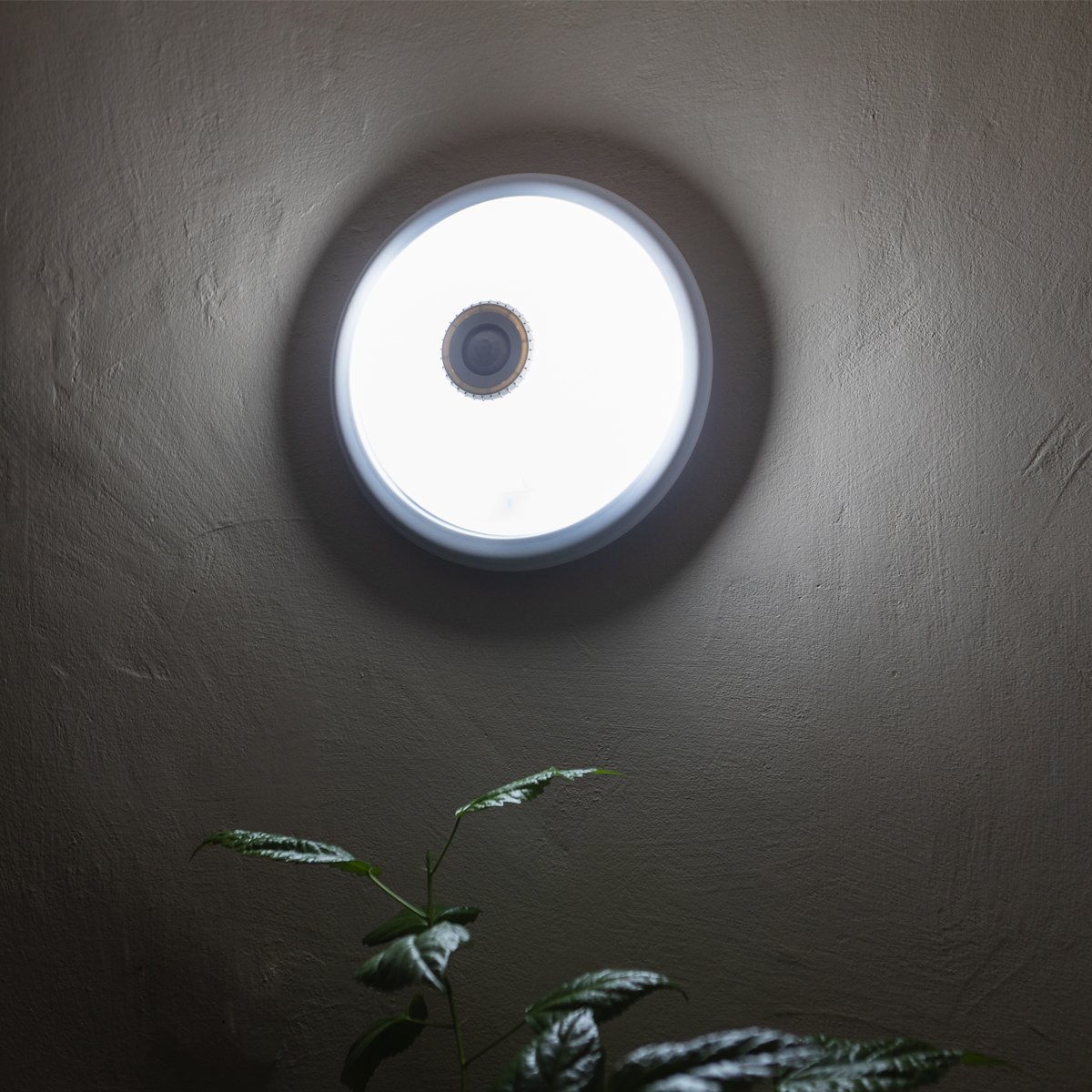 Plafoniera LED cu senzor crepuscular 12W, 220V, 360 grade, 300x105mm Breckner Germany